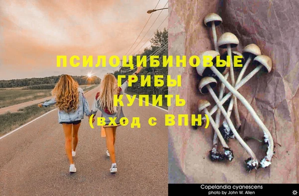 дурь Абдулино
