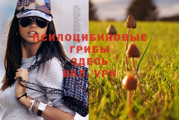 Альфа ПВП Абинск