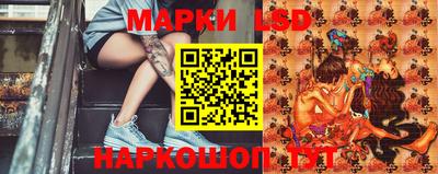 гидропоника Дубна
