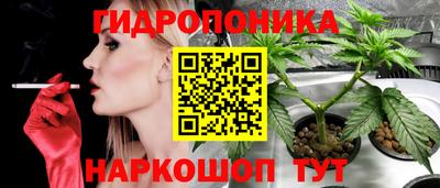 гидропоника Дубна