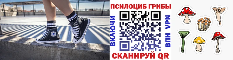 KRAKEN сайт  Златоуст  Галлюциногенные грибы Magic Shrooms 