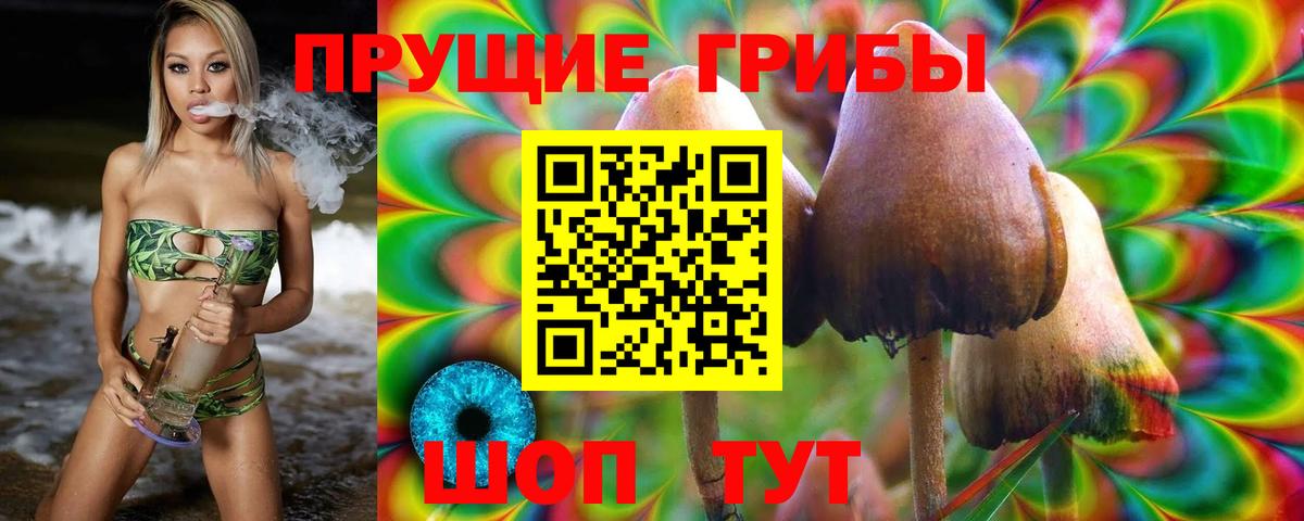 Галлюциногенные грибы ЛСД  купить наркоту  Златоуст  Вход с VPN  Псилоцибиновые грибы Cubensis 